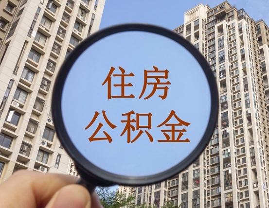 莘县退休后查不到公积金明细了吗（退休后公积金查询不到原因）